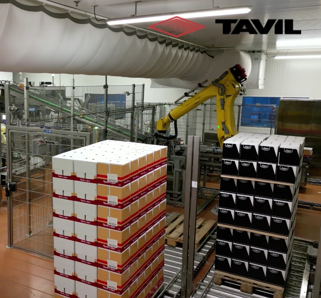 Success Case: Personalized automation for France Salaisons – Maison Colombo