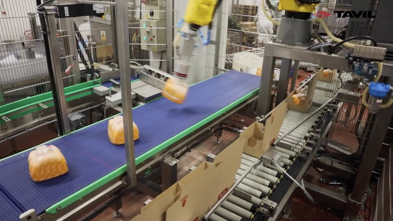 Cooked meat multiformat solutions