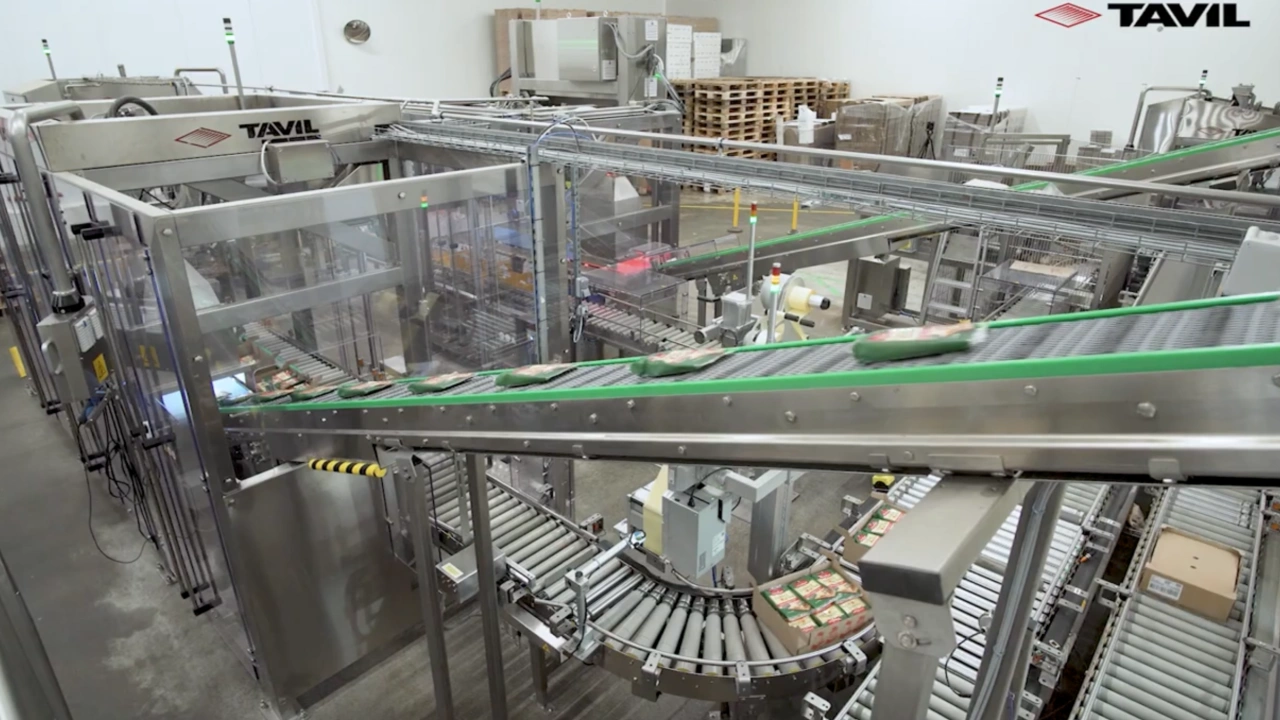 Grated cheese multiformat solutions