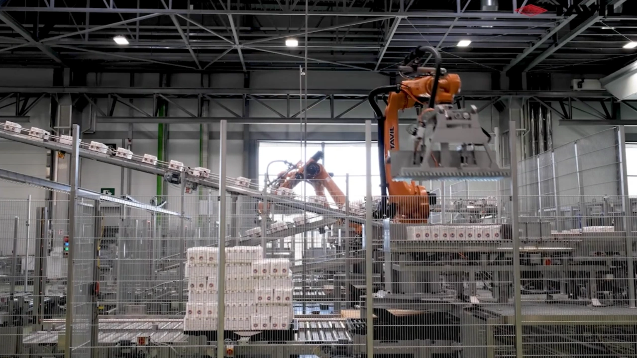 Pasta & flour multiformat solutions